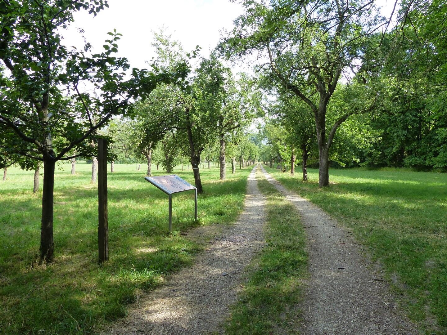 Streuobstwiese Reißinsel