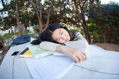 Vergrößerte Ansicht von diesem Bild