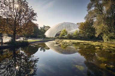 Vergrößerte Ansicht von Die Multihalle von Carlfried Mutschler und Frei Otto im Herzogenriedpark ist ein weltberühmtes ingenieurtechnisches Meisterwerk.
