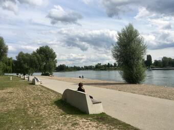 Vergrößerte Ansicht von Eingebettet in einer Rheinschleife südlich des Naturschutzgebietes Reißinsel im Waldpark in Mannheim-Neckarau verbreitet das Strandbad mediterranes Feeling. Großzügige Liege- und Spielflächen bieten jede Menge Platz zum Picknicken, Lesen, Sonnenbaden, Erholen und Spielen.