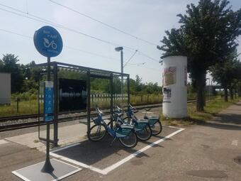 Vergrößerte Ansicht von Seit 2021 gibt es auf Franklin mehrere VRNnextbike-Station. Das Bild zeigt die Station in der Bensheimer Straße.