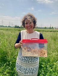 Vergrößerte Ansicht von Umweltbürgermeisterin Prof. Dr. Diana Pretzell bei der Feldhamsterauswilderung