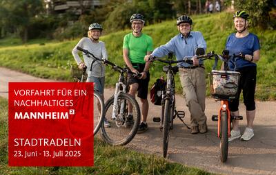 Vergrößerte Ansicht von 