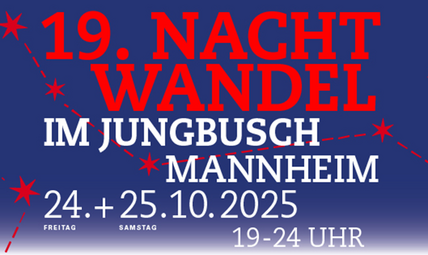 Vergrößerte Ansicht von Nachtwandel 2025