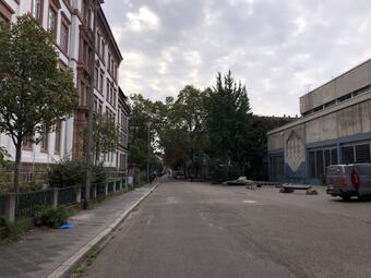 Vergrößerte Ansicht von diesem Bild