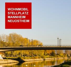 Vergrößerte Ansicht von diesem Bild