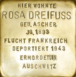 Vergrößerte Ansicht von Rosa Dreifuss