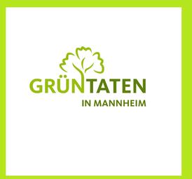 Vergrößerte Ansicht von diesem Bild