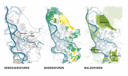 Vergrößerte Ansicht von diesem Bild