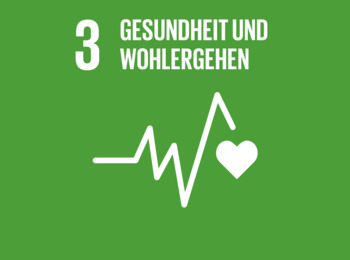 Icon Herz EKG