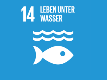 Icon Wellen und Fisch darunter