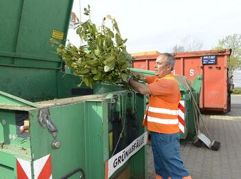 Recyclinghof Im Morchhof