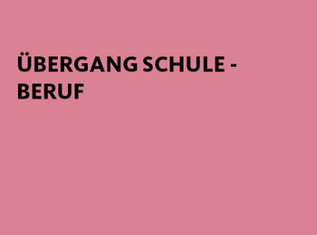 Übergang Schule - Beruf