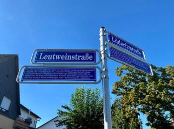 Umbenennung Straßennamen (Rheinau-Süd, 2024)