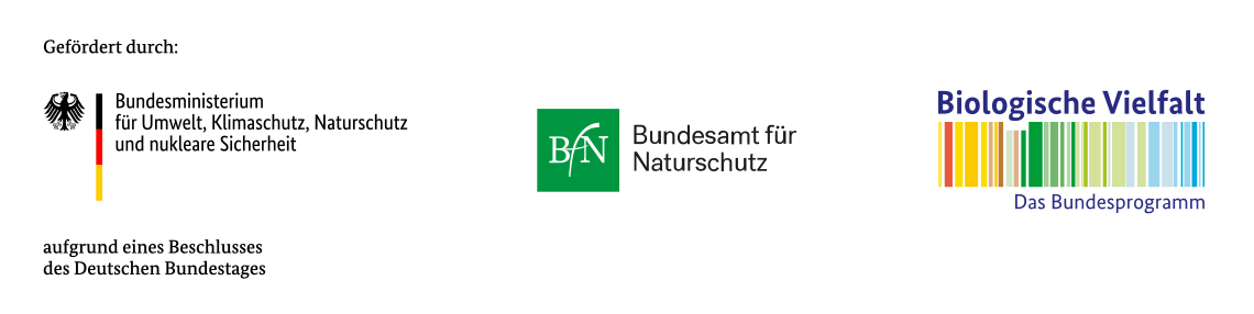 Logoleiste