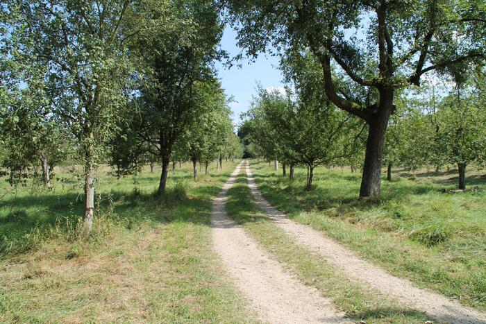 Reißinsel - eine natürliche Auenlandschaft 